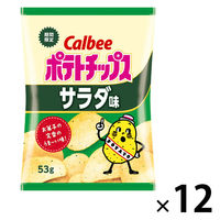 ポテトチップス 食べきりサイズ ポテトチップス サラダ味 53g  1セット（1個×12）