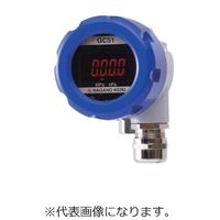 GC51-173-17111X-0.1/0.1MPA（直送品）