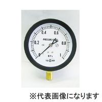 東洋計器興業 TOKO(トーコー) 簡易プラ密閉型圧力計 防滴型樹脂ケース 屋外用 BL-AT3/8-100X2MPA 1個（直送品）