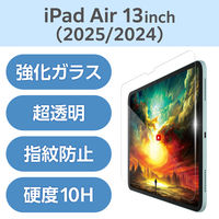 GR 13C`iPad Air(M3/M2) KXtB f  TB-A25XFLGAR 1