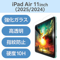 GR 11C`iPad Air(M3/M2) KXtB f  TB-A25MFLGAR 1