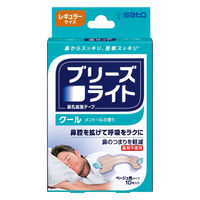 佐藤製薬 ブリーズライト　クール　レギュラー　886850 1箱（10枚入）