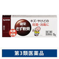 健栄きず軟膏5g 健栄製薬 きり傷、さし傷、すりむき傷、靴ずれ、やけど等の患部の殺菌・消毒【第3類医薬品】