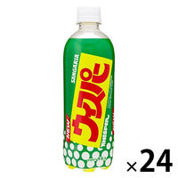 【アウトレット】日本サンガリア サンガリア ウィスパー 500ml 1箱（24本入）