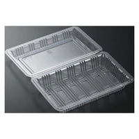 中央化学 テイクアウト容器 フードパック 特1深 SE L 00418667 1ケース(1600個(100個×16))（直送品）