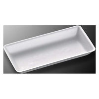 中央化学 食品容器 トレー C・FS-B2E LL 00457319 1ケース(2100個(50個×42))（直送品）