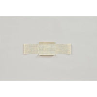 福助工業 軽食容器 紙竹皮 No.2 00561302 1ケース(2000個(100個×20))（直送品）