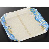 中央化学 発泡トレー CX24-24A あやもB内 身L 00695432 1ケース(450個(50個×9))（直送品）