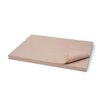 日本製紙クレシア キッチンペーパー 食材紙 ブラウン 600×800 250枚 00759668 1ケース(10個)（直送品）