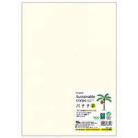 ヒサゴ プリンター用紙 サステナブルクラッポ バナナ 5% 薄口 10枚入 FSCSC04S 1ケース(5個(1個×5))（直送品）