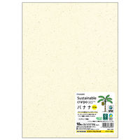 ヒサゴ プリンター用紙 サステナブルクラッポ バナナ 20% 10枚入 FSCSC05S 1ケース(5個(1個×5))（直送品）