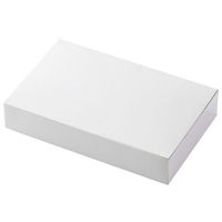 愛宝 デリボックス H-28-18 ホワイトフードケース(小) 1ケース(150個(150個×1))（直送品）