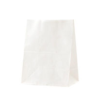 パックタケヤマ 角底袋 H500 耐油角底袋 白無地 XZT55405 1ケース(1000個(100個×10))（直送品）