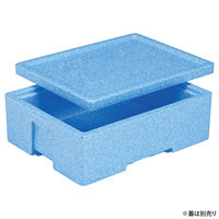 三甲 保存箱 EPボックス#22 76030100BLEP 1ケース(10個(1個×10))（直送品）