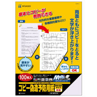 ヒサゴ プリンター用紙 マルチプリンタ帳票 コピー偽造予防用紙 浮き文字タイプ A4両面 100枚入 BP2110 1ケース(1個)（直送品）