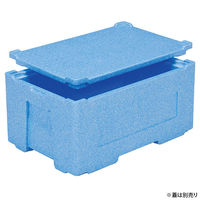 三甲 保存箱 EPボックス#40-2 76027700BLEP 1ケース(5個(1個×5))（直送品）