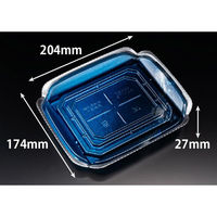 リスパック 刺身容器 バイオ 華ノ枠 20-17B ゆう箔銀 FHNW406 1袋(50個)（直送品）