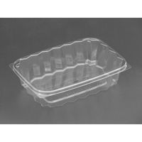 リスパック サラダ容器 バイオ 角ケース 20-900 BZN PKCC277 1ケース(600個(50個×12))（直送品）