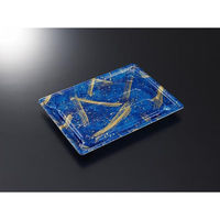 中央化学 寿司容器 鮮鋭 21-3 スパークルB 身 00762159 1ケース(400個(50個×8))（直送品）