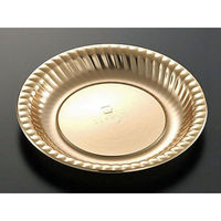 中央化学 オードブル容器 DX PD プレート24 G-BK 身 00778499 1袋(20個)（直送品）