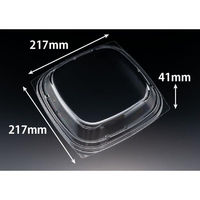 リスパック バイオ マウント 22-22 OCH RHHS790 1袋(50個)（直送品）