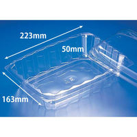 リスパック サラダ容器 バイオ 角ケース 22L-1200BZ PKCC311 1ケース(600個(50個×12))（直送品）