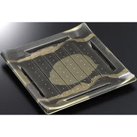 中央化学 刺身容器 CT 波ね皿 24-24 壮月BK-BK 身 00656169 1ケース(200個(50個×4))（直送品）