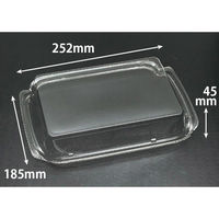 リスパック バイオ 華ノ枠 25-19 OC FHNW631 1袋(50個)（直送品）