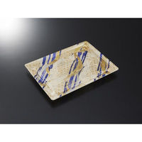 中央化学 寿司容器 鮮鋭 21-3 ゼファーIV 身 00762161 1袋(50個)（直送品）