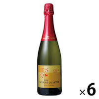 スペイン ザ・スパニッシュ・クォーター ブリュット 白 辛口 スパークリングワイン 750ml 1セット（6本） 国分 カヴァ