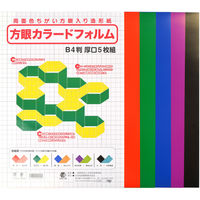 日本色研事業 方眼カラードフォルム B4 5枚組 30220 1個（直送品）