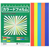 日本色研事業 カラードフォルム B4判 厚口5枚組 30202 1個（直送品）