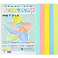 日本色研事業 カラードフォルムP B4 厚口5枚組 30251 1個（直送品）