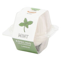 栽培キット　エッグリング ミント LAKOLE/ラコレ