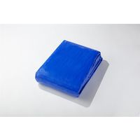 モリリン ブルーシート #3000 イメージシート 10.0×15.0m 30P1015 1セット(2枚)（直送品）
