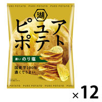 ピュアポテト 濃いのり塩 1セット（1個×12）