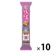 プチ　しっとりクッキー 47g 1セット（1個×10）
