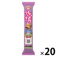 プチ　しっとりクッキー 47g 1セット（1個×20）