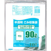 {ZH S~ eʈ 90L 10p NNY-91 4904118653911 1Zbg(1(10×30)iij