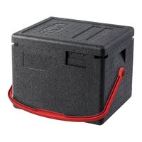 Trust インスレート保温フードキャリー GNパン1/2用 CH付 67-5729-62 1個（直送品）