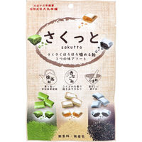 大丸本舗 さくっと 3つの味アソート 55g 4901922713428 1袋（直送品）