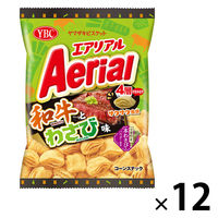 スナック菓子 食べきりサイズ エアリアル 和牛とわさび味 1セット（1個×12）