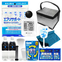 熱中症対策キット 25点 シルバー 1セット 熱中症対策用品 黒球式熱中症指数計付き 塩分補給パウダー 熱中症対策グッズ ATK001K（直送品）