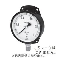 AE20-841-VX-0.1/1.5MPA（直送品）