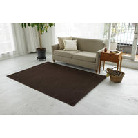 スミノエ コンシェルジュ エコロア100 防炎 ラグ ECR108 2000×2000mm ダークブラウン 1枚（直送品）