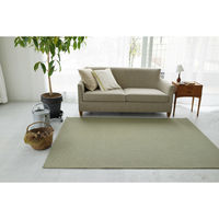 スミノエ コンシェルジュ ウールスコット プレーン 防炎 ラグ ウールスコット WS108 3500×4500mm グリーン 1枚（直送品）