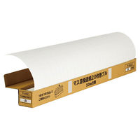 マルアイ　方眼模造紙　プルタイプ　白　マ-AS21　1箱（20枚入）（わけあり品）