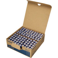 東芝 アルカリ乾電池 単3形 LR6L 100P 1箱（わけあり品）