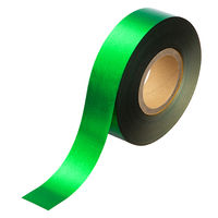 日幼 メッキテープホログラム 幅25mm×100m巻 緑