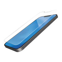 iPhone13 mini ガラスフィルム ブルーライトカット 指紋防止 PM-A21AFLGGBL エレコム 1個（直送品）